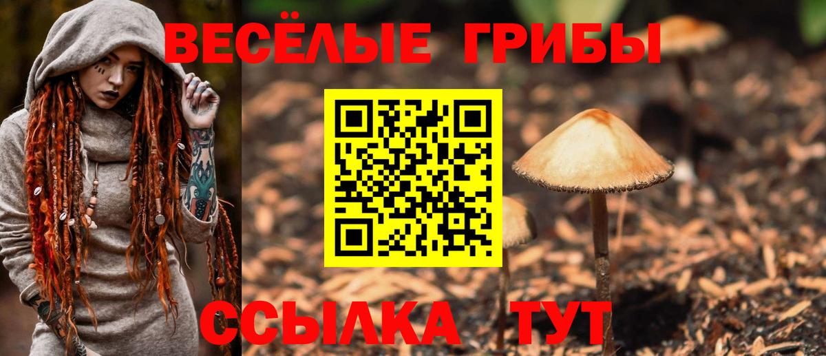 Псилоцибиновые грибы мицелий  Галлюциногенные грибы мицелий  Вход с VPN  Красноуфимск 